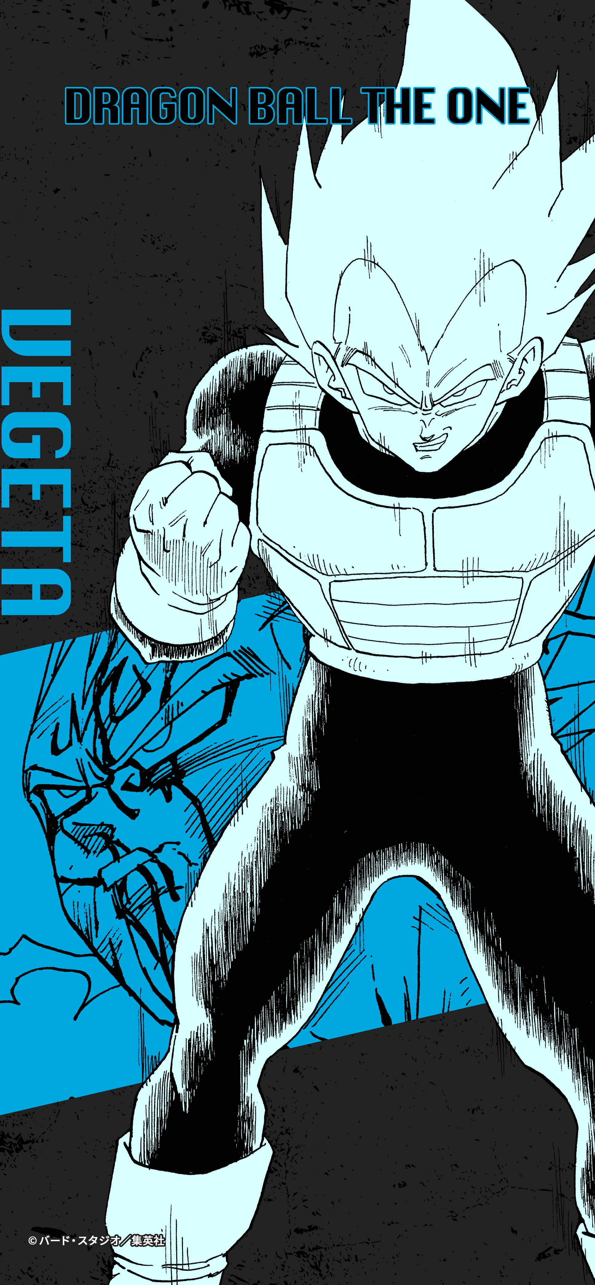 WALLPAPER DOWNLOAD | DRAGON BALL THE ONE 全世界キャラクター人気投票